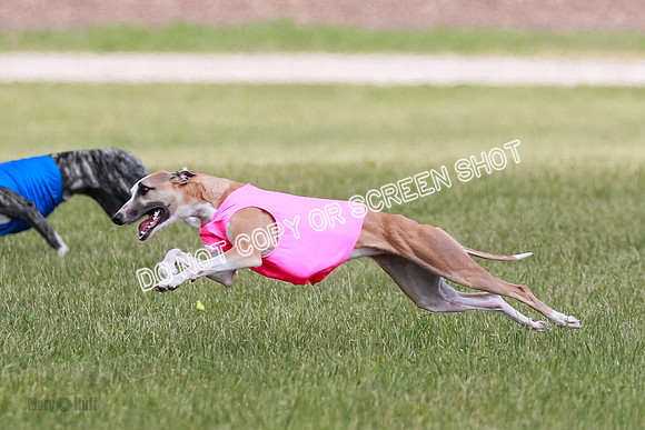 Final Open 1 Axl Diamond Prim-8165