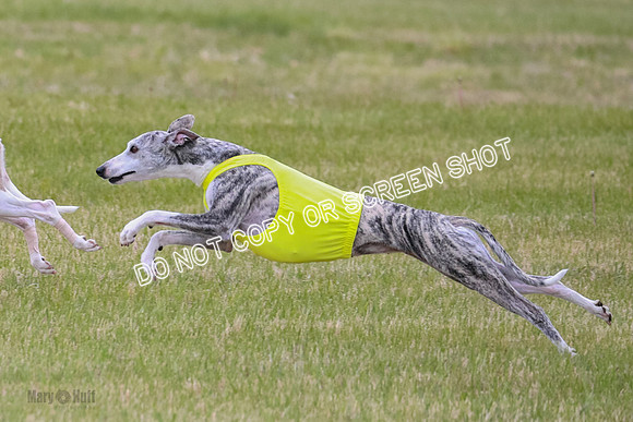 Prelim Fch 4 Vera Rasher Raya-6834