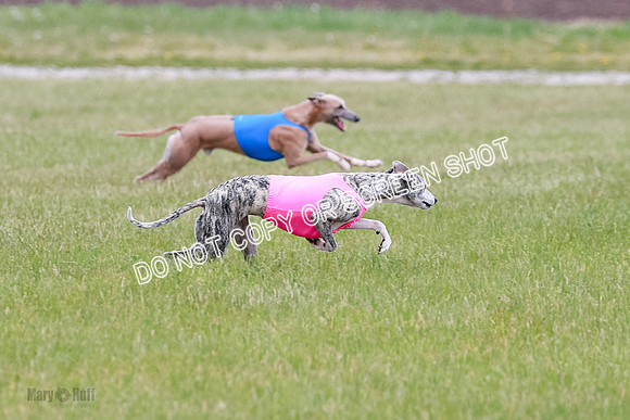 Final Fch 4  Hazel Vera Ren-8490
