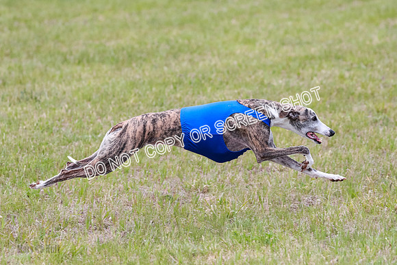 Prelim Fch 5 Riggs Ren Quest-6917