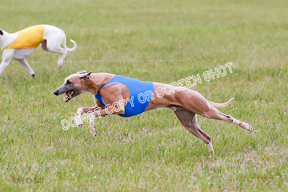 Final Fch 4  Hazel Vera Ren-8525
