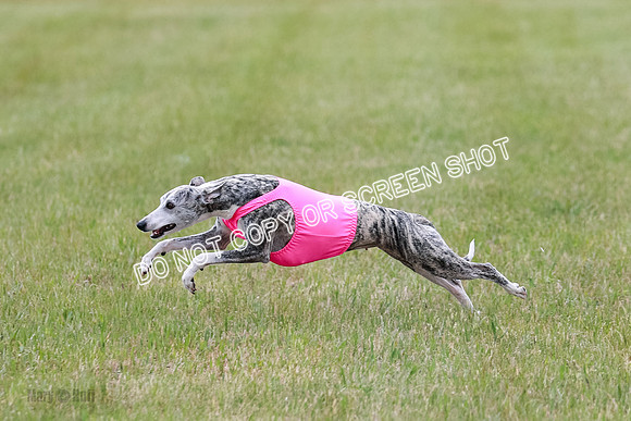 Final Fch 4  Hazel Vera Ren-8519