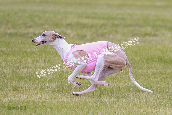 Prelim Fch 4 Vera Rasher Raya-6836