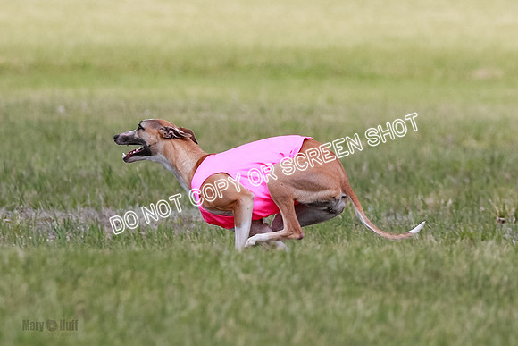 Final Open 1 Axl Diamond Prim-8172