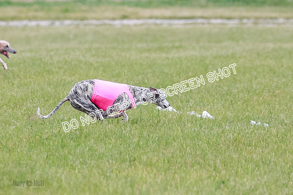 Final Fch 4  Hazel Vera Ren-8493