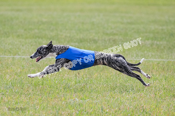 Final Open 1 Axl Diamond Prim-8210