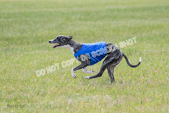 Final Open 1 Axl Diamond Prim-8204