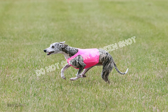 Final Fch 4  Hazel Vera Ren-8518