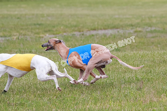 Final Fch 4  Hazel Vera Ren-8508