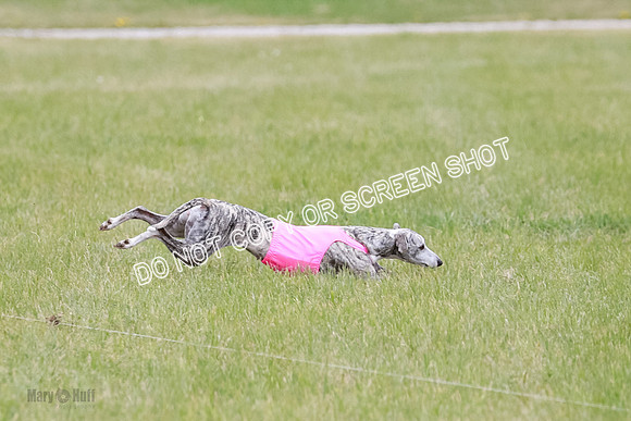 Final Fch 4  Hazel Vera Ren-8497