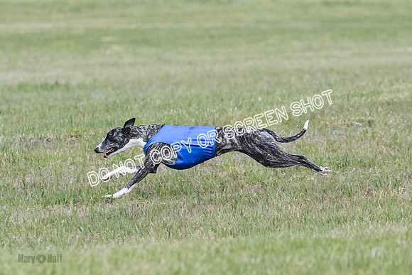 Final Open 1 Axl Diamond Prim-8189