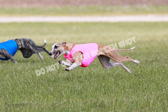 Final Open 1 Axl Diamond Prim-8162