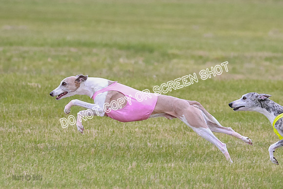 Prelim Fch 4 Vera Rasher Raya-6833