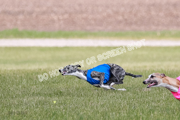 Final Open 1 Axl Diamond Prim-8163