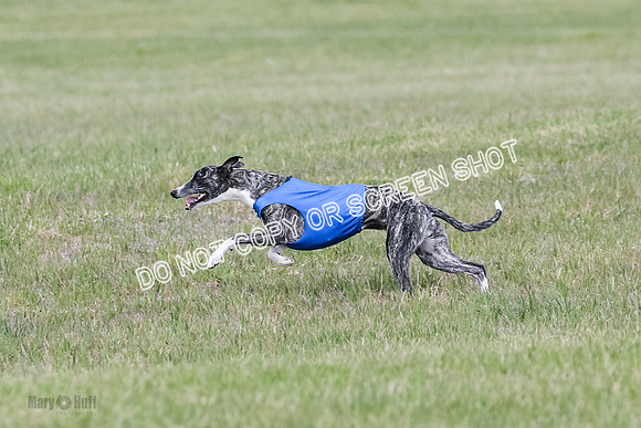 Final Open 1 Axl Diamond Prim-8188