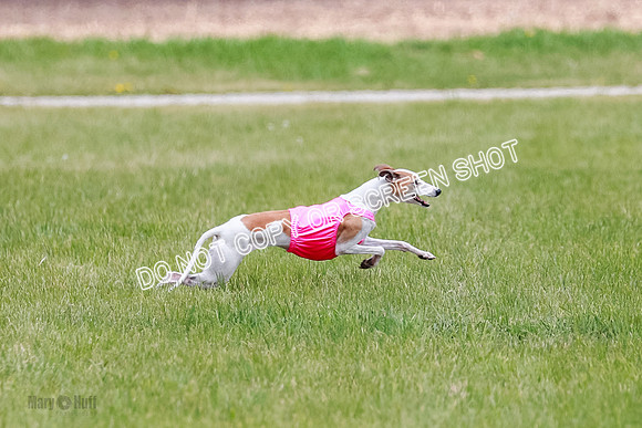 Final Fch 5 Raya Bug Riggs-8559