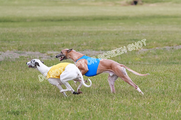 Final Fch 4  Hazel Vera Ren-8509