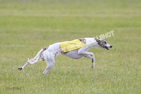 Prelim Fch 5 Riggs Ren Quest-6907