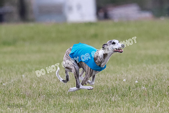NBQ Runnoff-0109