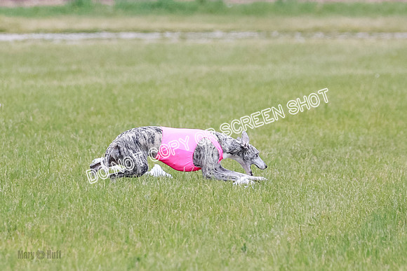 Final Fch 4  Hazel Vera Ren-8494