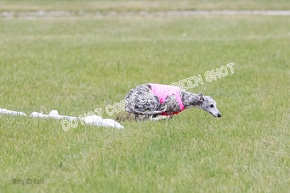 Final Fch 4  Hazel Vera Ren-8495
