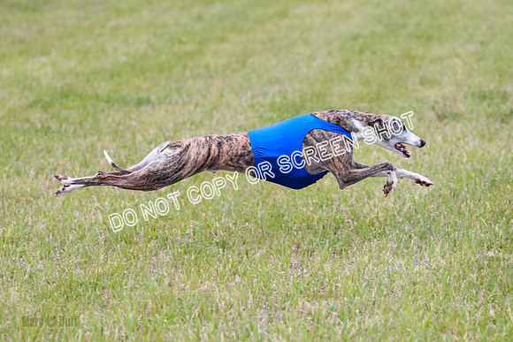Prelim Fch 5 Riggs Ren Quest-6921