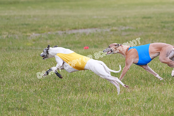 Final Fch 4  Hazel Vera Ren-8507