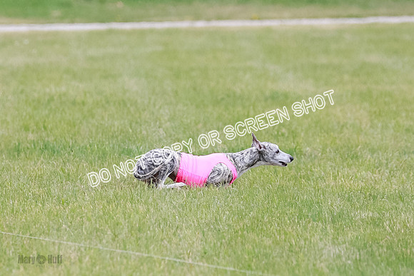 Final Fch 4  Hazel Vera Ren-8498