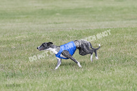 Final Open 1 Axl Diamond Prim-8186