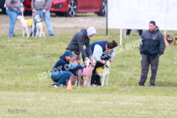 Prelim Fch 5 Riggs Ren Quest-6896
