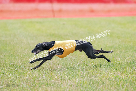 Final Open 1 Axl Diamond Prim-8193
