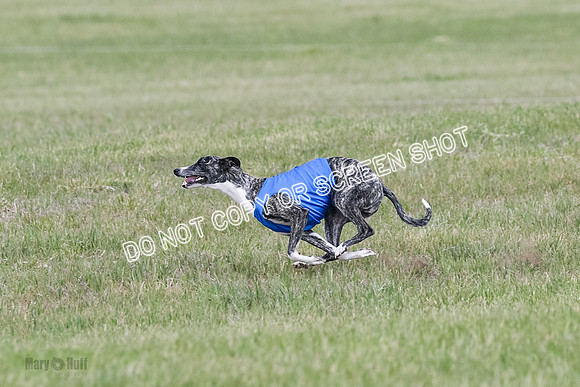 Final Open 1 Axl Diamond Prim-8187
