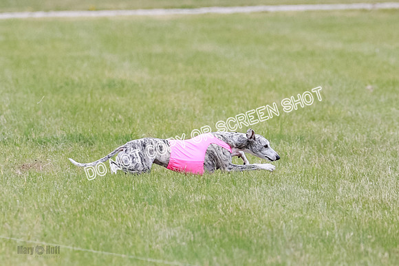 Final Fch 4  Hazel Vera Ren-8499