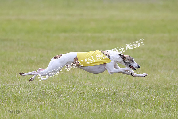Prelim Fch 5 Riggs Ren Quest-6908