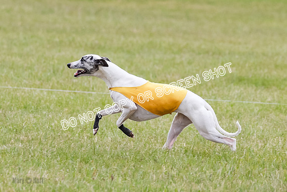 Final Fch 4  Hazel Vera Ren-8538