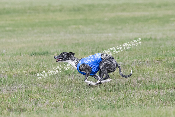 Final Open 1 Axl Diamond Prim-8191