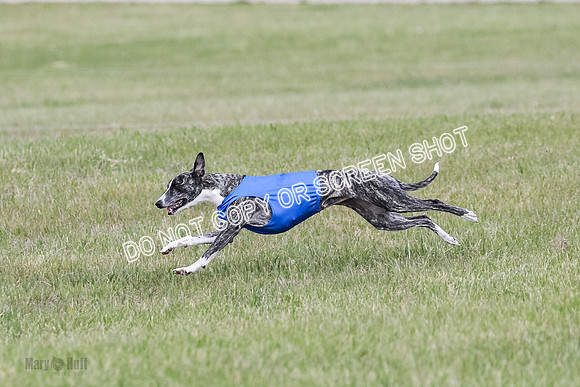 Final Open 1 Axl Diamond Prim-8185