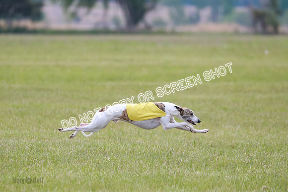Prelim Fch 5 Riggs Ren Quest-6908-2
