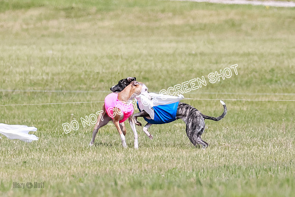 Final Open 1 Axl Diamond Prim-8147