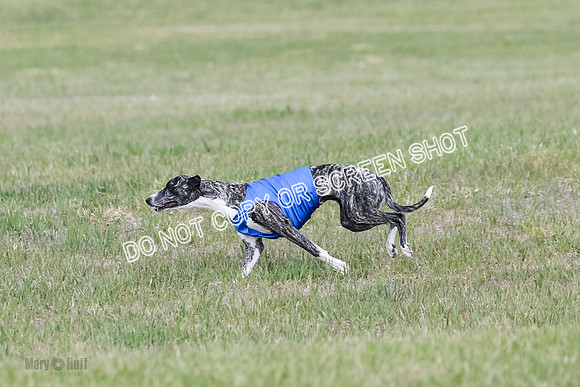 Final Open 1 Axl Diamond Prim-8190