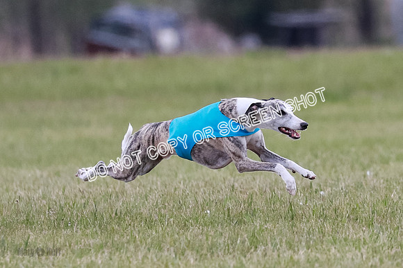 NBQ Runnoff-0107