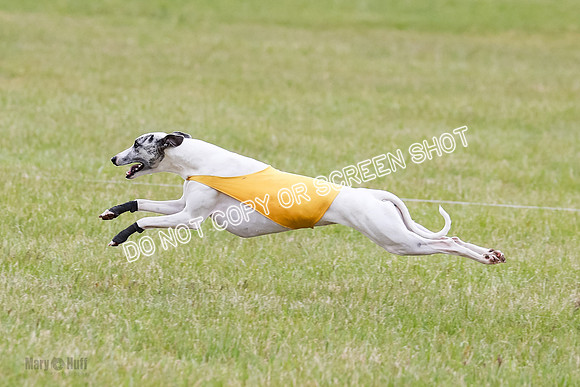 Final Fch 4  Hazel Vera Ren-8539