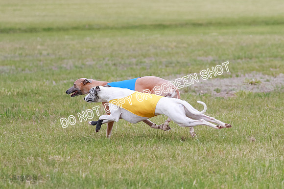 Final Fch 4  Hazel Vera Ren-8511