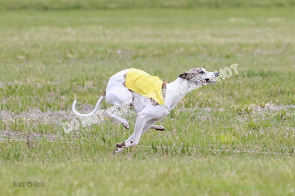 Prelim Fch 5 Riggs Ren Quest-6923