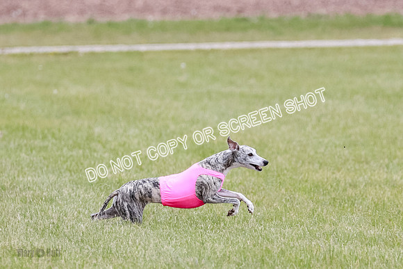 Final Fch 4  Hazel Vera Ren-8501