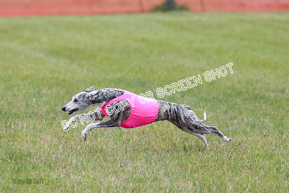 Final Fch 4  Hazel Vera Ren-8515