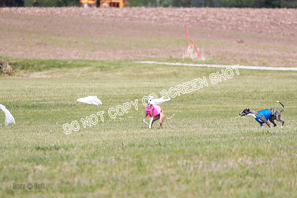 Final Open 1 Axl Diamond Prim-8142