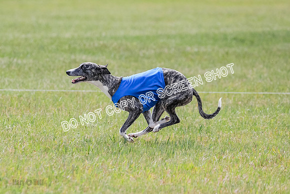 Final Open 1 Axl Diamond Prim-8208