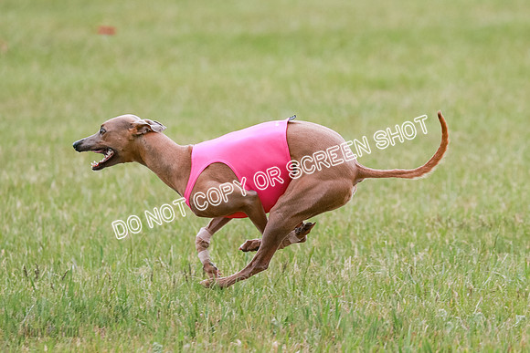 Final Fch 1 Whisper Keegan Charlie-8340