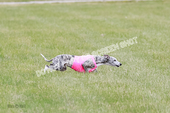 Final Fch 4  Hazel Vera Ren-8500
